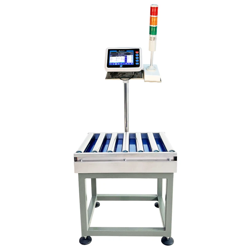 Stainless Steel Unpowered Roller Scale