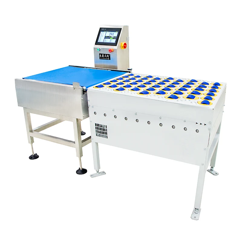 Customized Removal Belt Scale